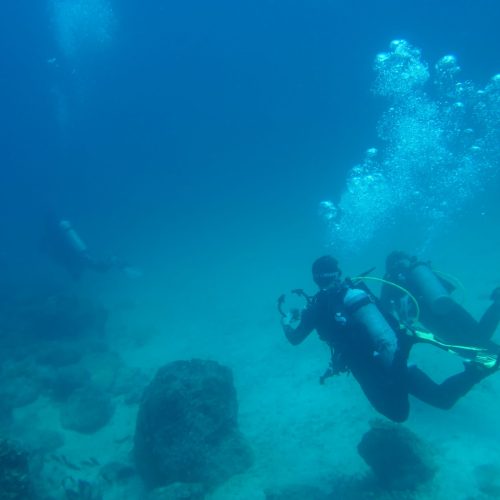 Divers swimming